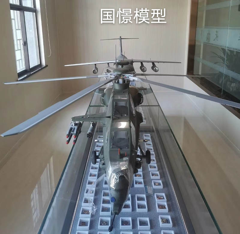 中牟县飞机模型