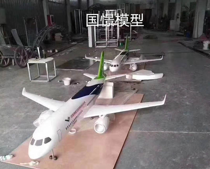 中牟县飞机模型