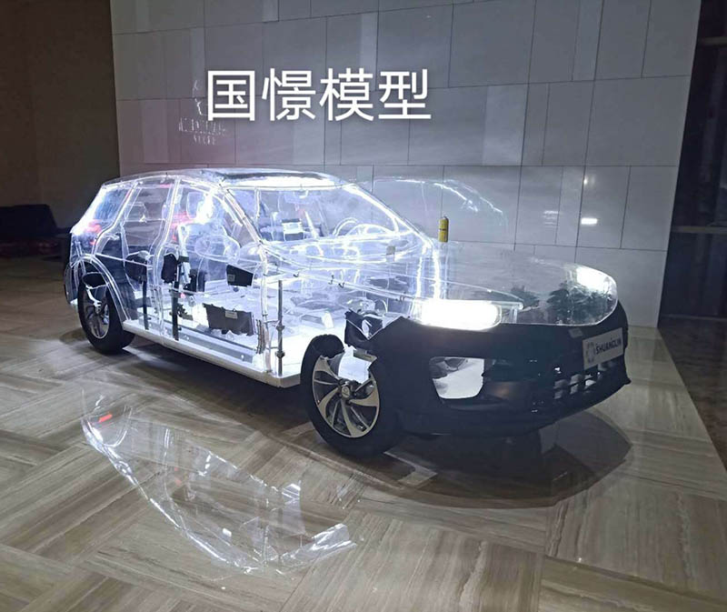 中牟县透明车模型